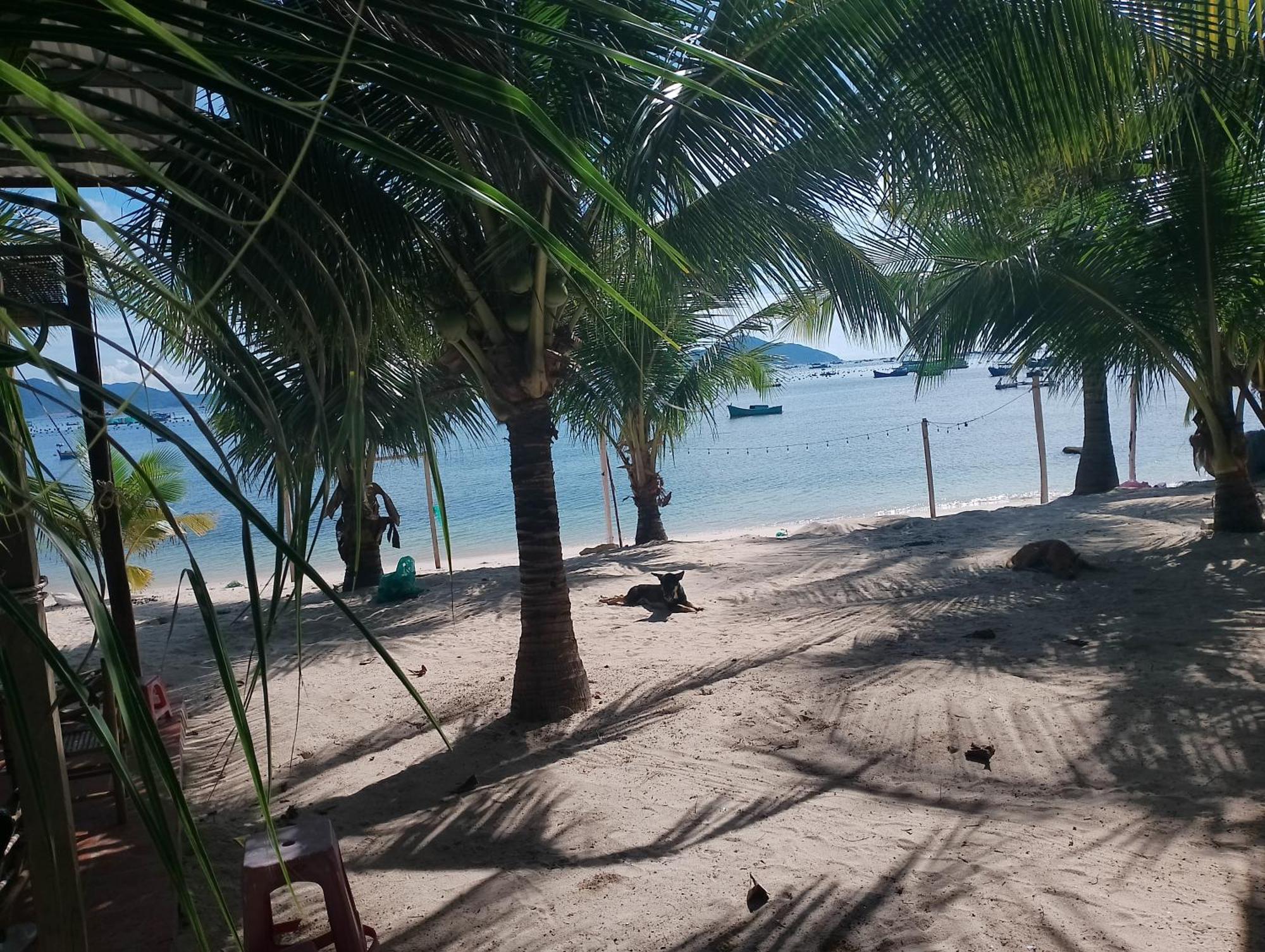 Hotel The Sunrise Anh Tu Cam Ranh Zimmer foto
